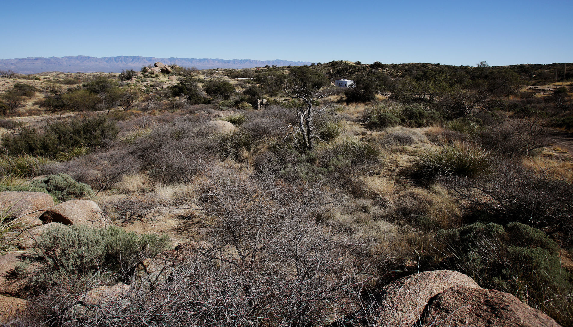 Oracle State Park